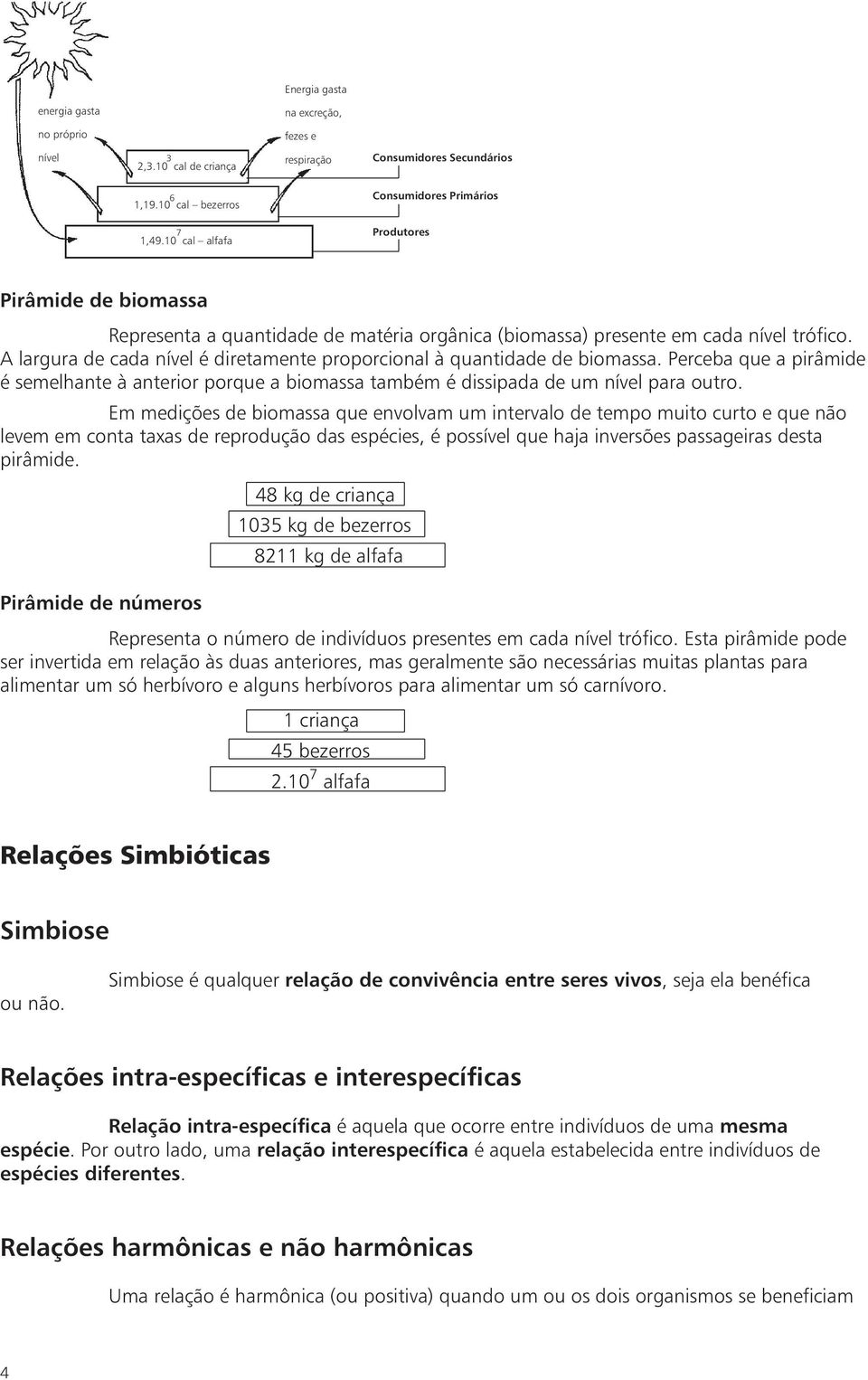 A largura de cada nível é diretamente proporcional à quantidade de biomassa. Perceba que a pirâmide é semelhante à anterior porque a biomassa também é dissipada de um nível para outro.