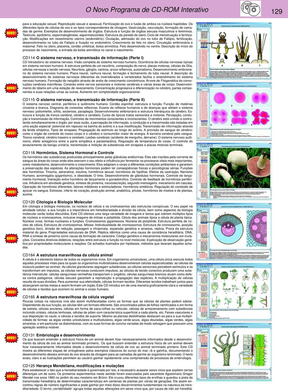 Estrutura e função de órgãos sexuais masculinos e femininos. Testículo, epidídimo, espermatogênese, espermatozóides. Estrutura da parede de útero. Ciclo de menstruação e fertilização.