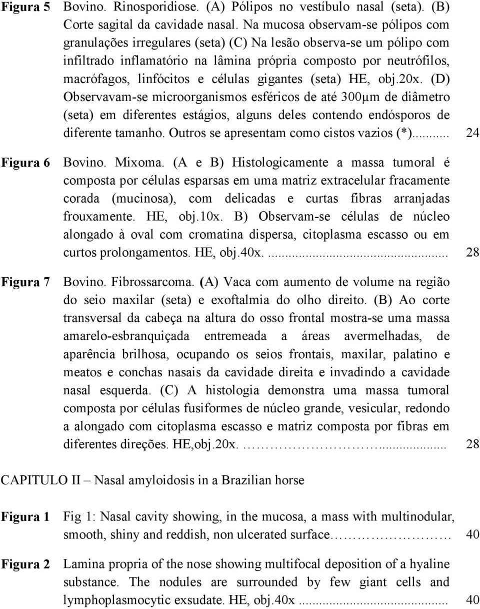 células gigantes (seta) HE, obj.20x. (D) Observavam-se microorganismos esféricos de até 300µm de diâmetro (seta) em diferentes estágios, alguns deles contendo endósporos de diferente tamanho.