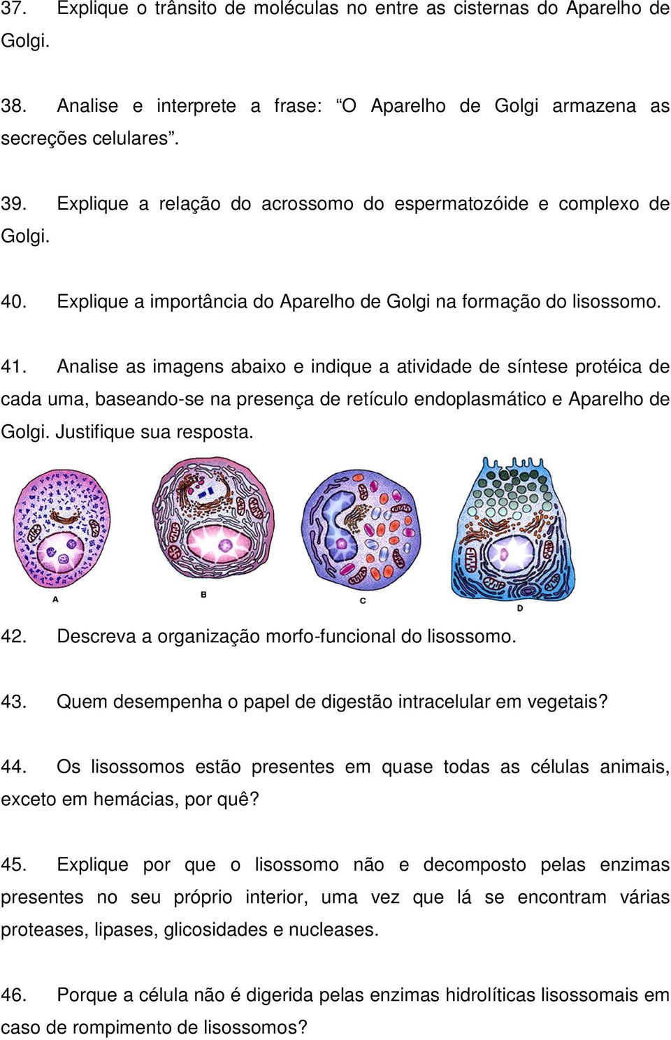 Analise as imagens abaixo e indique a atividade de síntese protéica de cada uma, baseando-se na presença de retículo endoplasmático e Aparelho de Justifique sua resposta. 42.