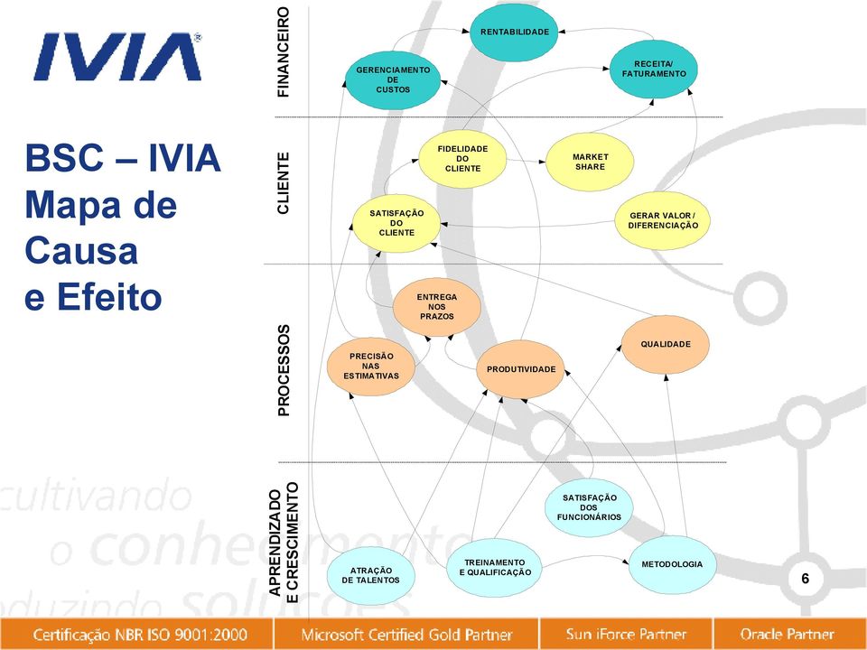 VALOR / DIFERENCIAÇÃO PROCESSOS PRECISÃO NAS ESTIMATIVAS PRODUTIVIDADE QUALIDADE APRENDIZADO E