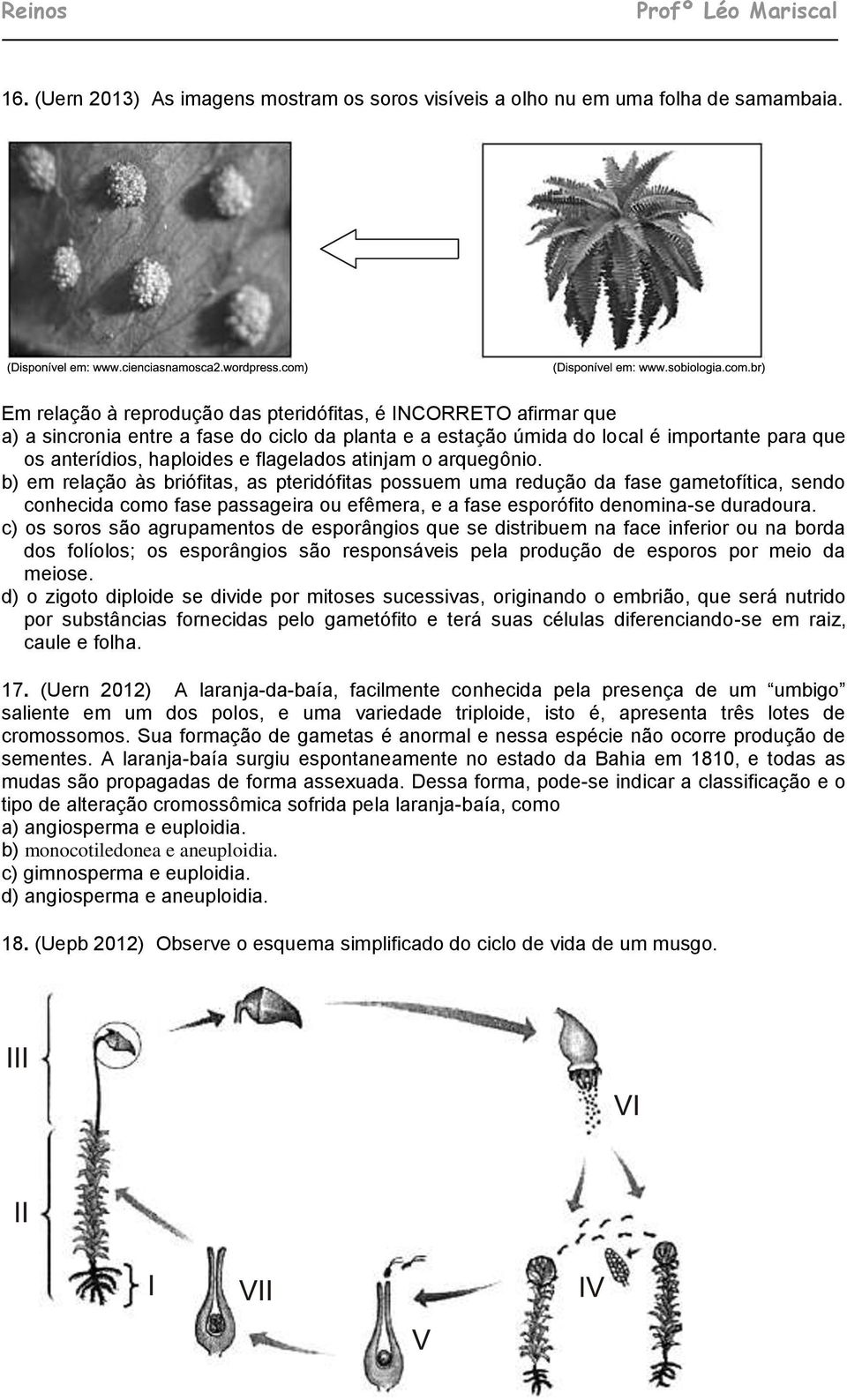 atinjam o arquegônio. b) em relação às briófitas, as pteridófitas possuem uma redução da fase gametofítica, sendo conhecida como fase passageira ou efêmera, e a fase esporófito denomina-se duradoura.