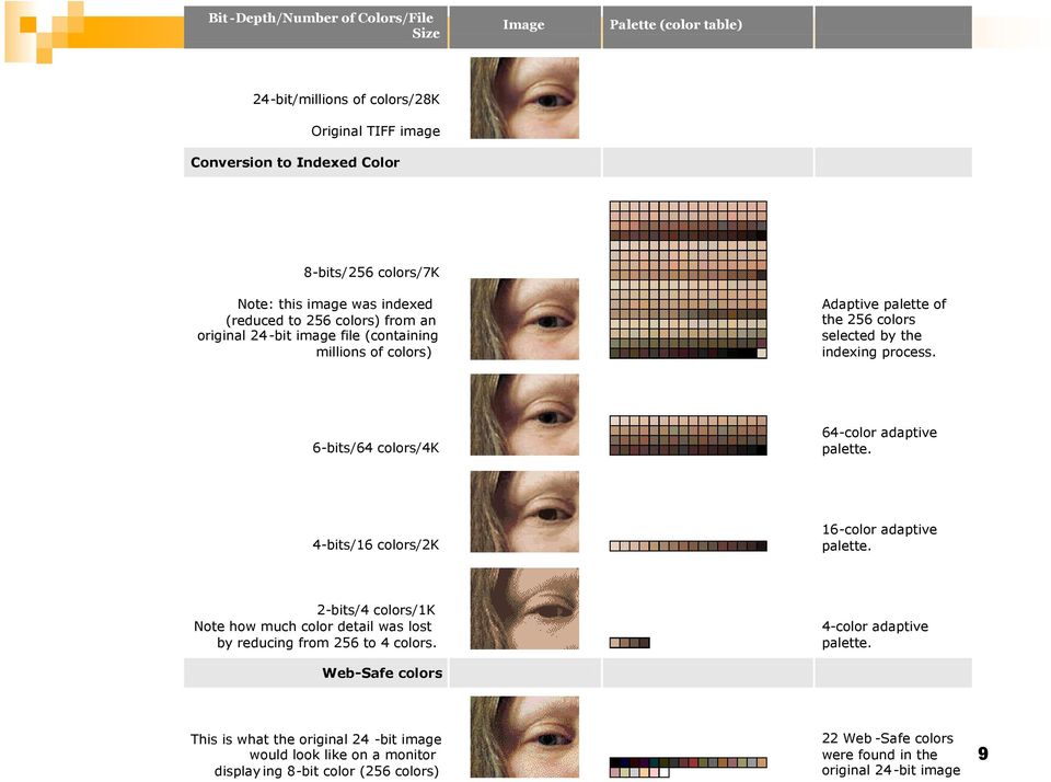 6-bits/64 colors/4k 64-color adaptive palette. 4-bits/16 colors/2k 16-color adaptive palette. 2-bits/4 colors/1k Note how much color detail was lost by reducing from 256 to 4 colors.