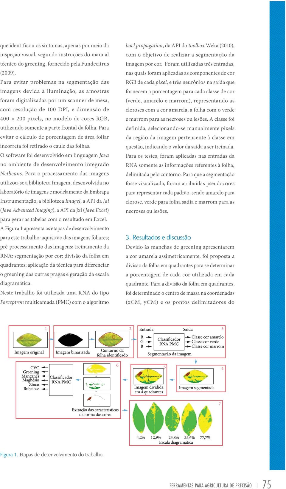 cores RGB, utilizando somente a parte frontal da folha. Para evitar o cálculo de porcentagem de área foliar incorreta foi retirado o caule das folhas.