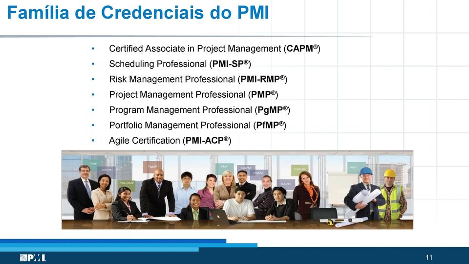 (PMI-RMP ) Project Management Professional (PMP ) Program Management