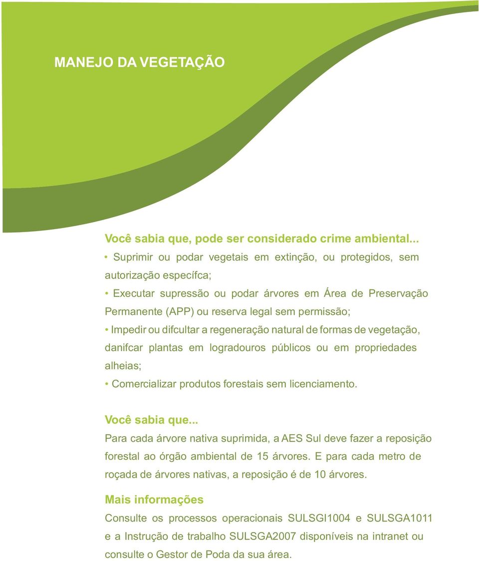 Impedir ou difcultar a regeneração natural de formas de vegetação, danifcar plantas em logradouros públicos ou em propriedades alheias; Comercializar produtos forestais sem licenciamento.