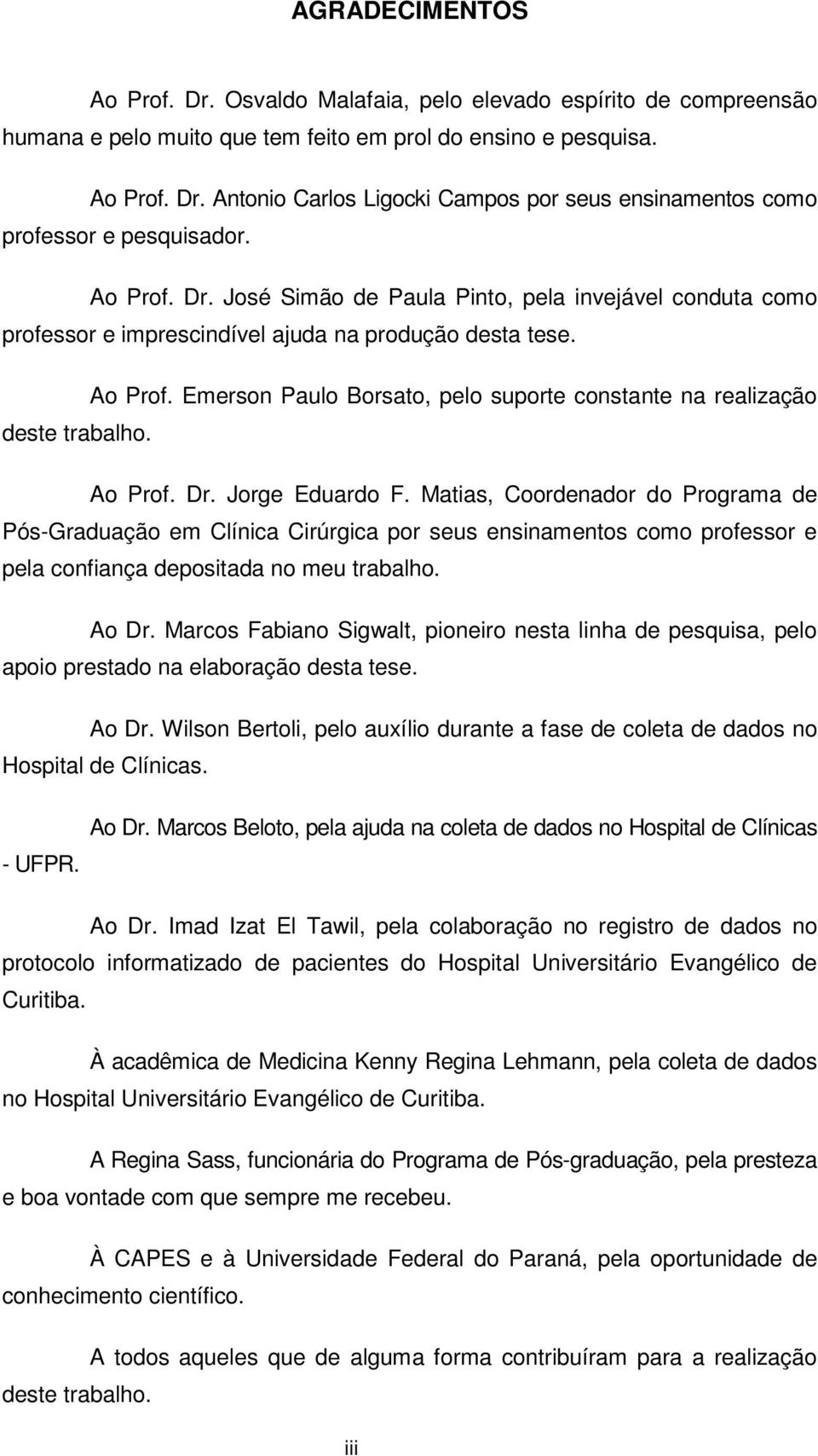 Emerson Paulo Borsato, pelo suporte constante na realização deste trabalho. Ao Prof. Dr. Jorge Eduardo F.