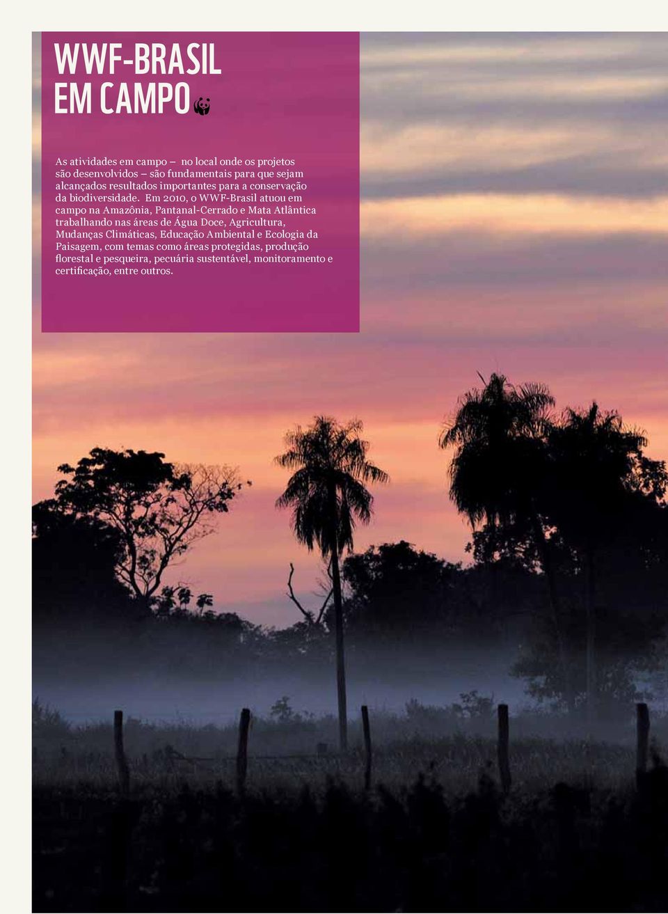 Em 2010, o WWF-Brasil atuou em campo na Amazônia, Pantanal-Cerrado e Mata Atlântica trabalhando nas áreas de Água Doce,