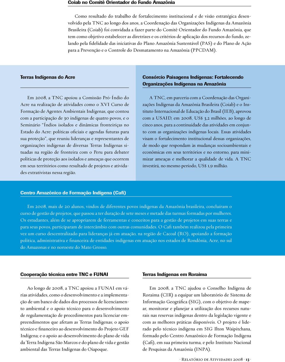 do fundo, zelando pela fidelidade das iniciativas do Plano Amazônia Sustentável (PAS) e do Plano de Ação para a Prevenção e o Controle do Desmatamento na Amazônia (PPCDAM).