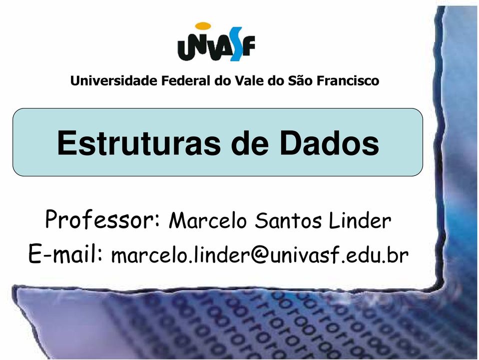 Professor: Marcelo Santos Linder