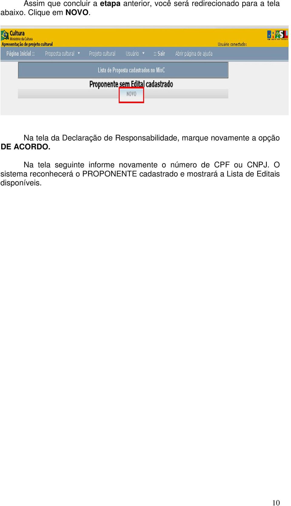 Na tela da Declaração de Responsabilidade, marque novamente a opção DE ACORDO.