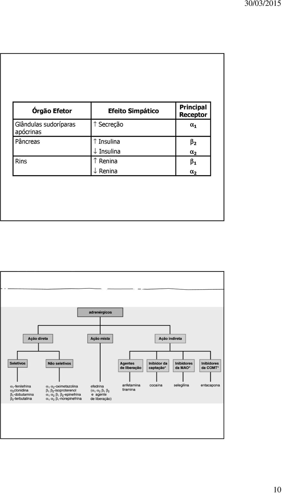 Simpático Principal Receptor Secreção α