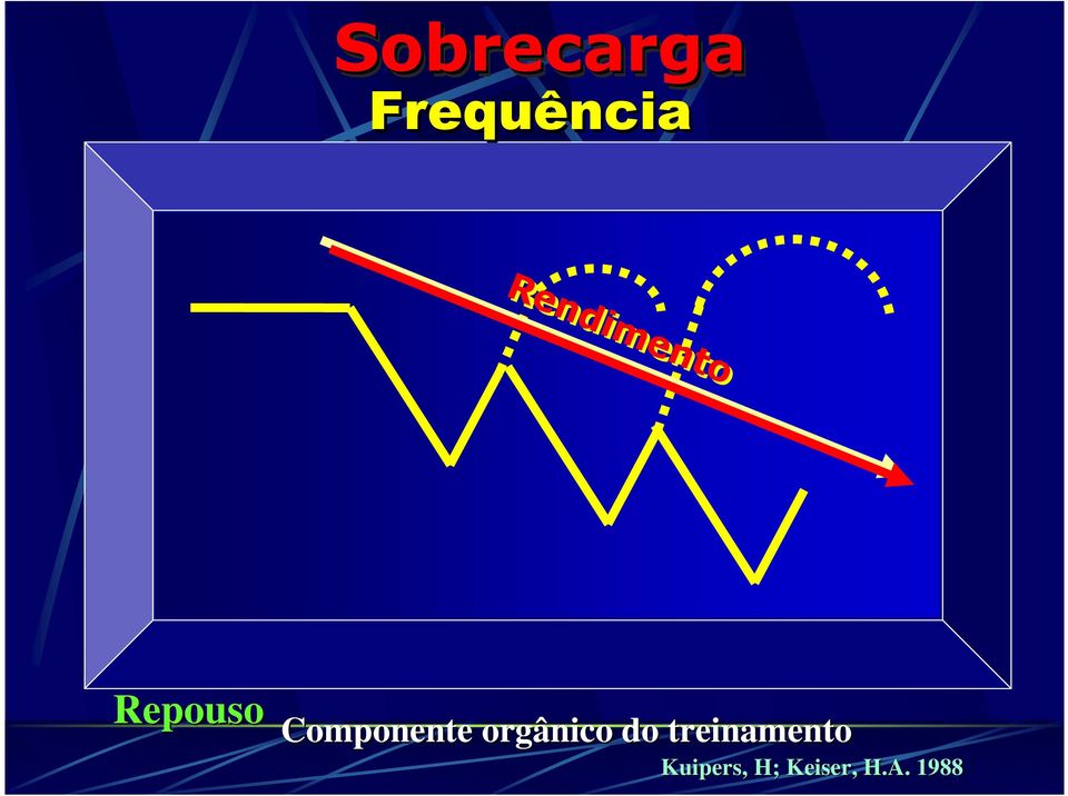 treinamento