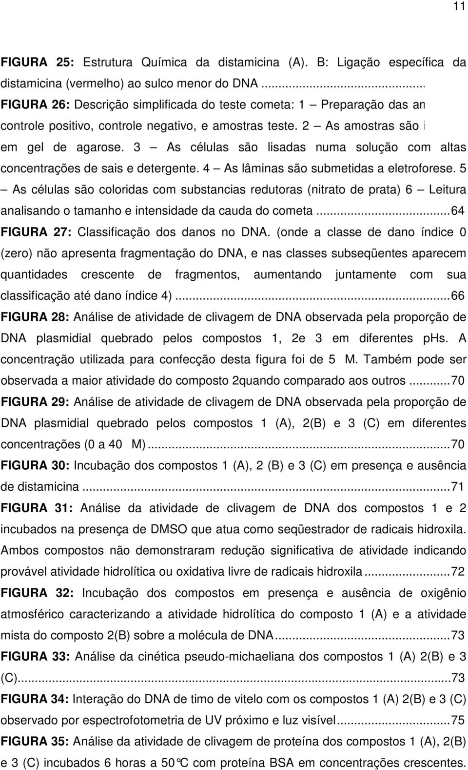 3 As células são lisadas numa solução com altas concentrações de sais e detergente. 4 As lâminas são submetidas a eletroforese.