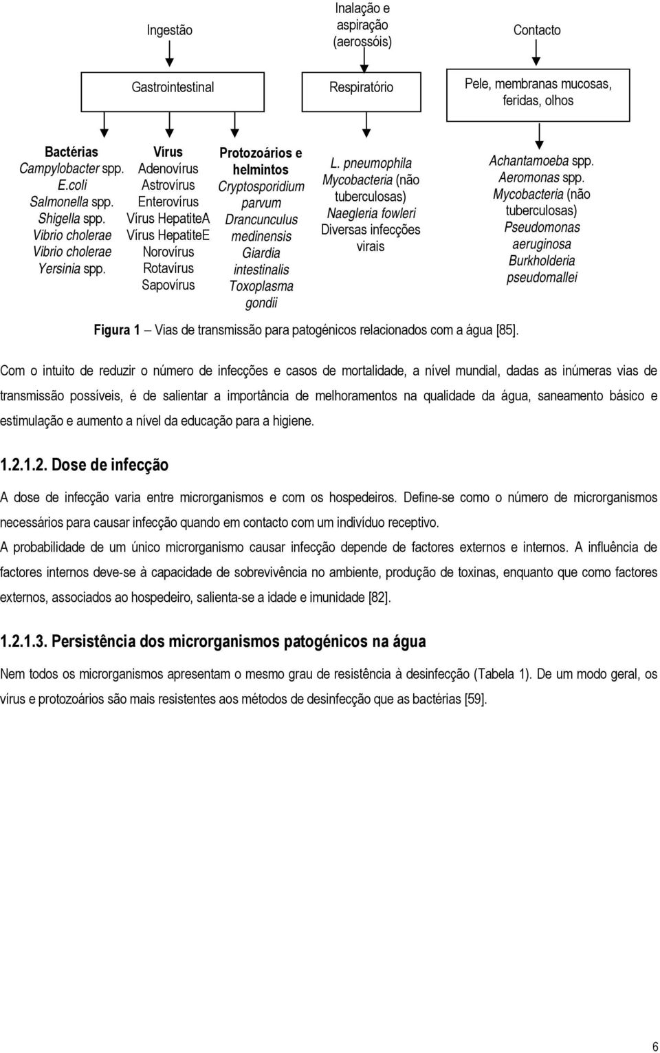 Vírus Adenovírus Astrovírus Enterovírus Vírus HepatiteA Vírus HepatiteE Norovírus Rotavírus Sapovírus Protozoários e helmintos Cryptosporidium parvum Drancunculus medinensis Giardia intestinalis