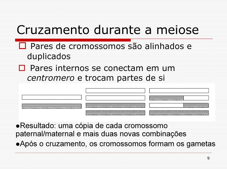 de si Resultado: uma cópia de cada cromossomo paternal/maternal e mais