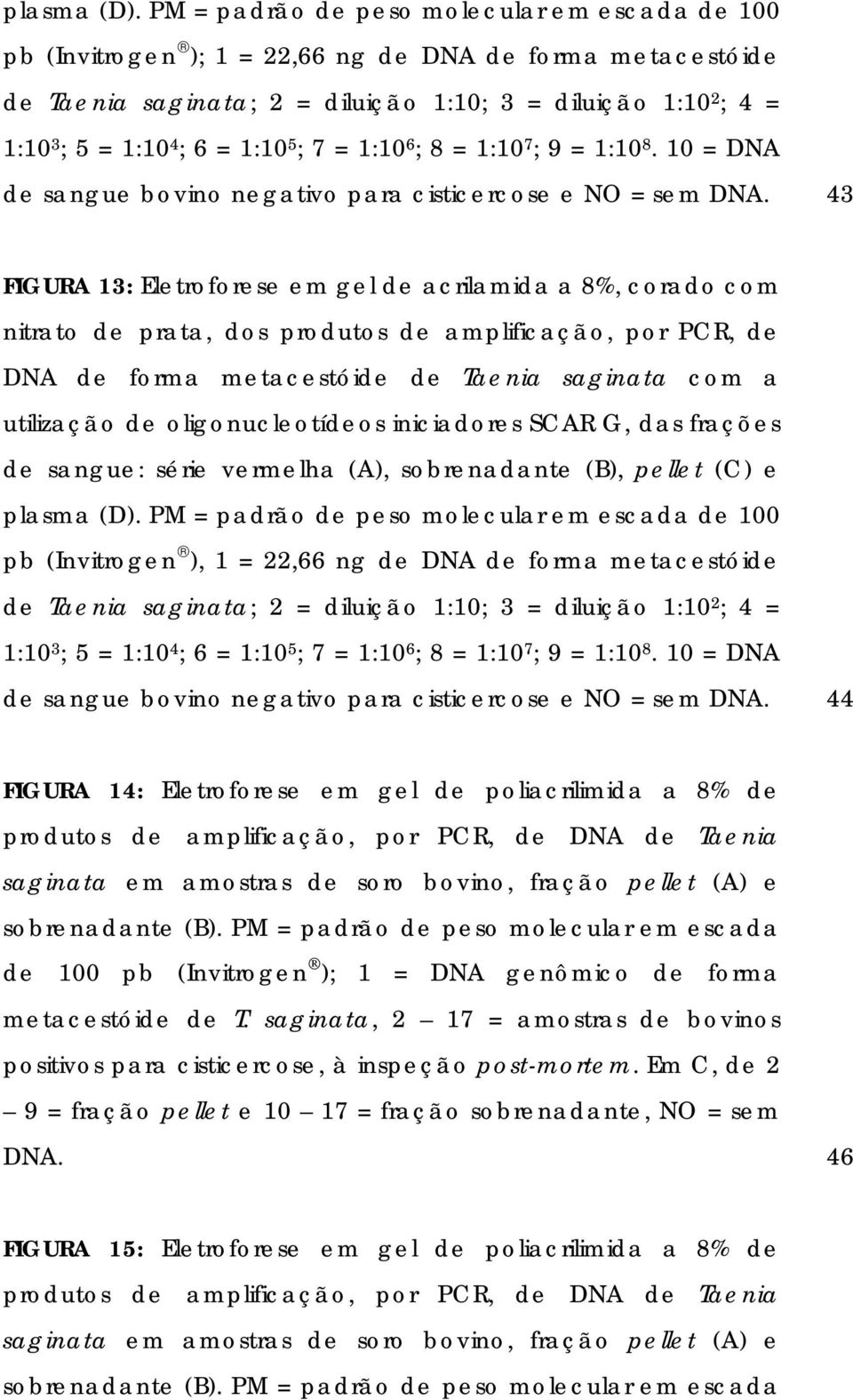 1:10 5 ; 7 = 1:10 6 ; 8 = 1:10 7 ; 9 = 1:10 8. 10 = DNA de sangue bovino negativo para cisticercose e NO = sem DNA.