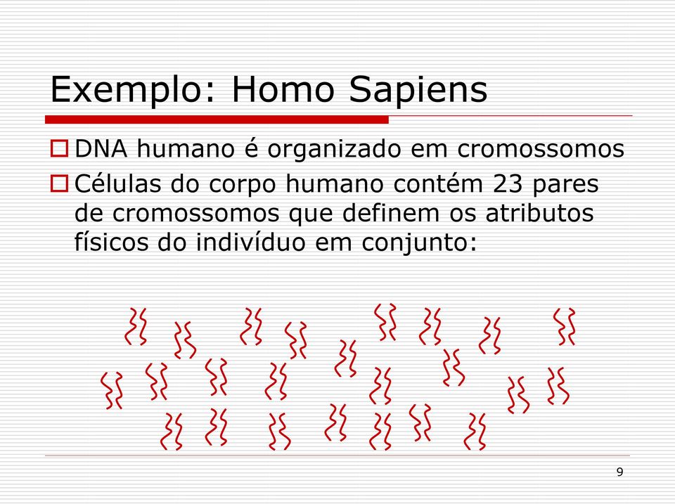 humano contém 23 pares de cromossomos que