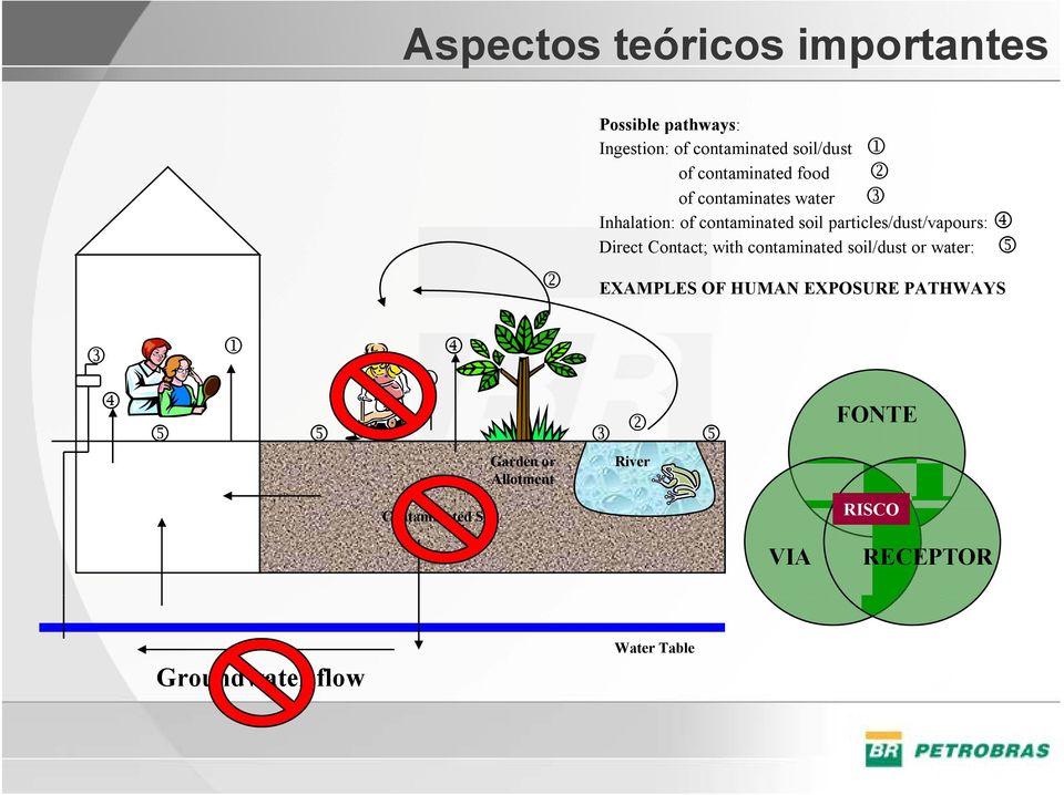 4 Direct Contact; with contaminated soil/dust or water: 5 EXAMPLES OF HUMAN EXPOSURE PATHWAYS 3 4 1 4