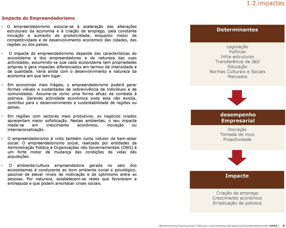 O impacte do empreendedorismo depende das características do ecossistema e dos empreendedores e da natureza das suas actividades, assumindo-se que cada ecossistema tem propriedades próprias e gera