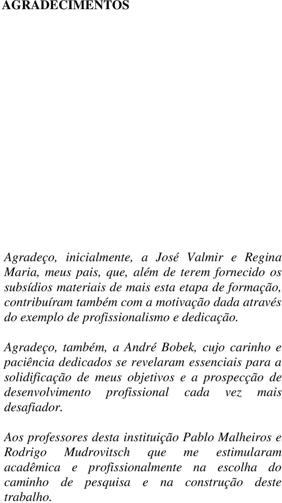 Agradeço, também, a André Bobek, cujo carinho e paciência dedicados se revelaram essenciais para a solidificação de meus objetivos e a prospecção de