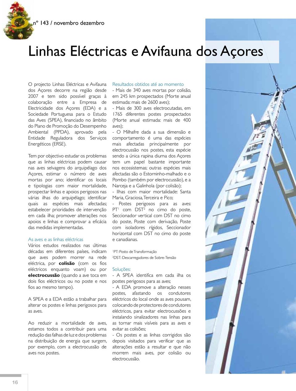 Reguladora dos Serviços Energéticos (ERSE).