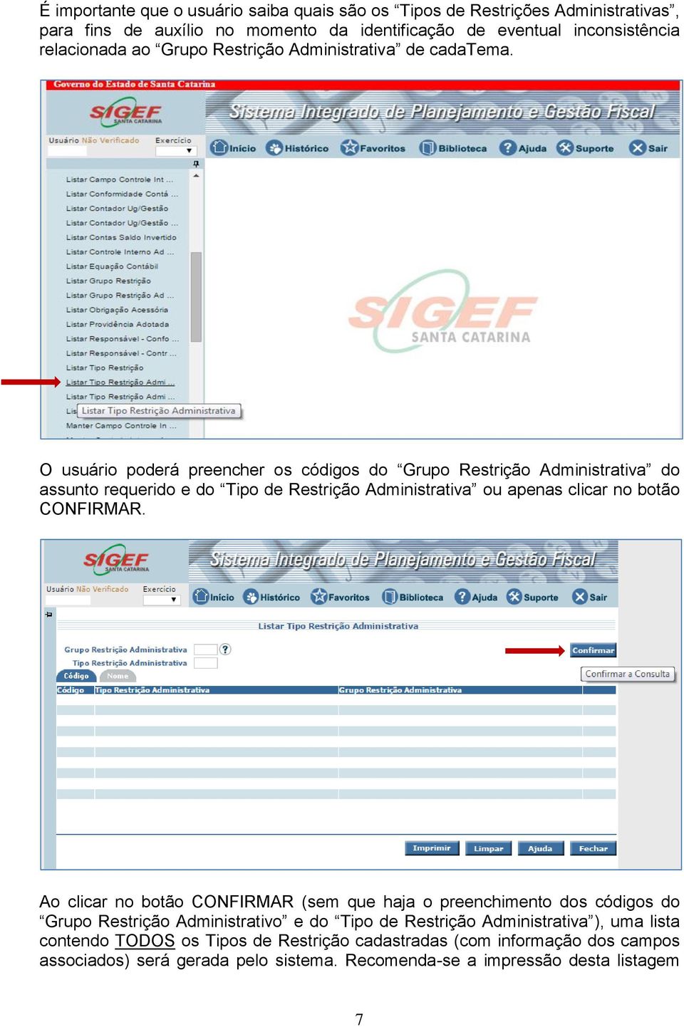 O usuário poderá preencher os códigos do Grupo Restrição Administrativa do assunto requerido e do Tipo de Restrição Administrativa ou apenas clicar no botão CONFIRMAR.