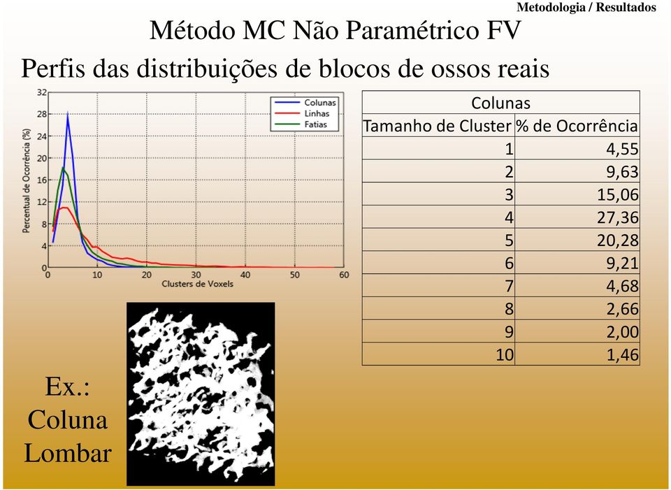 : Coluna Lombar Metodologia / Resultados Colunas Tamanho de