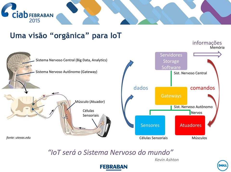 Nervoso Central informações Memória Músculo (Atuador) Células Sensoriais dados Sensores