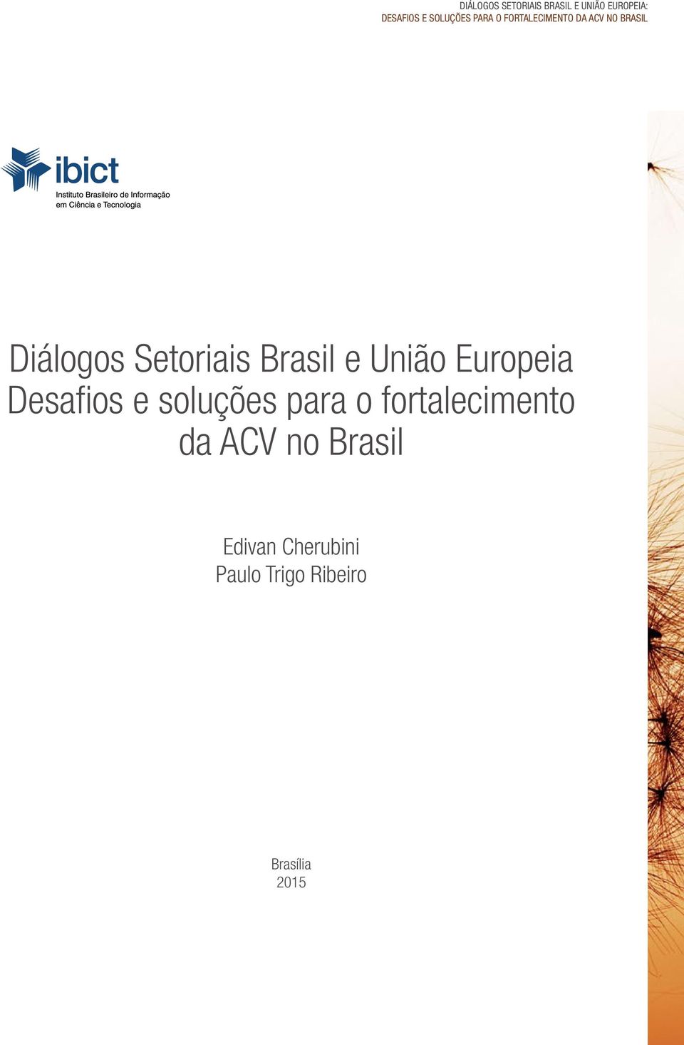 Brasil e União Europeia Desafios e soluções para o