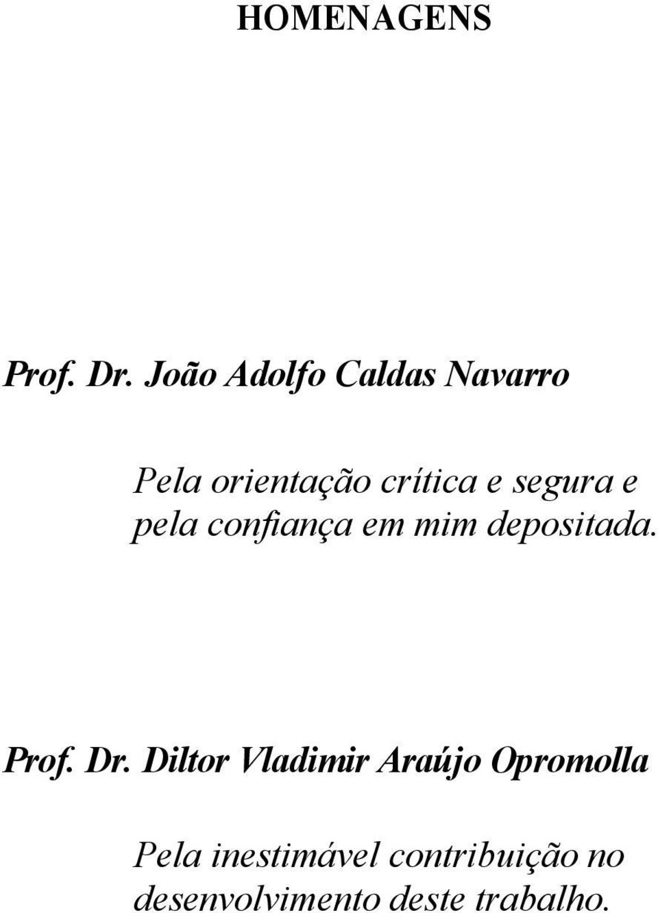 segura e pela confiança em mim depositada. Prof. Dr.