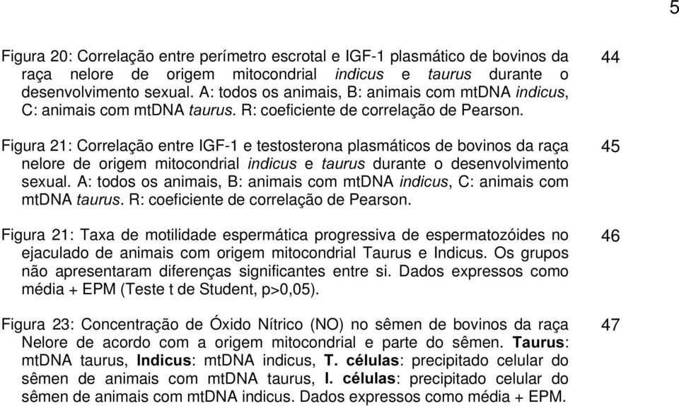 Figura 21: Correlação entre IGF-1 e testosterona plasmáticos de bovinos da raça nelore de origem mitocondrial LQGLFXV e WDXUXV durante o desenvolvimento sexual.