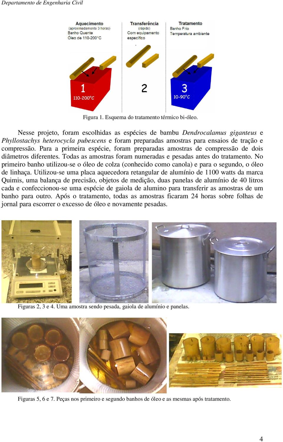 Para a primeira espécie, foram preparadas amostras de compressão de dois diâmetros diferentes. Todas as amostras foram numeradas e pesadas antes do tratamento.