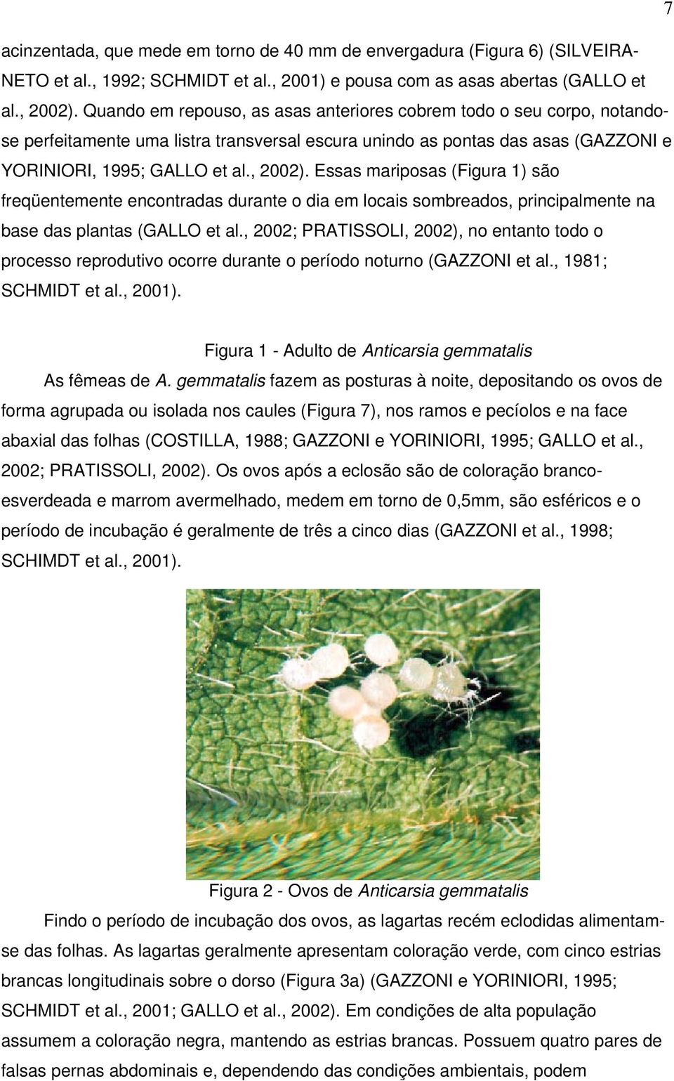 Essas mariposas (Figura 1) são freqüentemente encontradas durante o dia em locais sombreados, principalmente na base das plantas (GALLO et al.