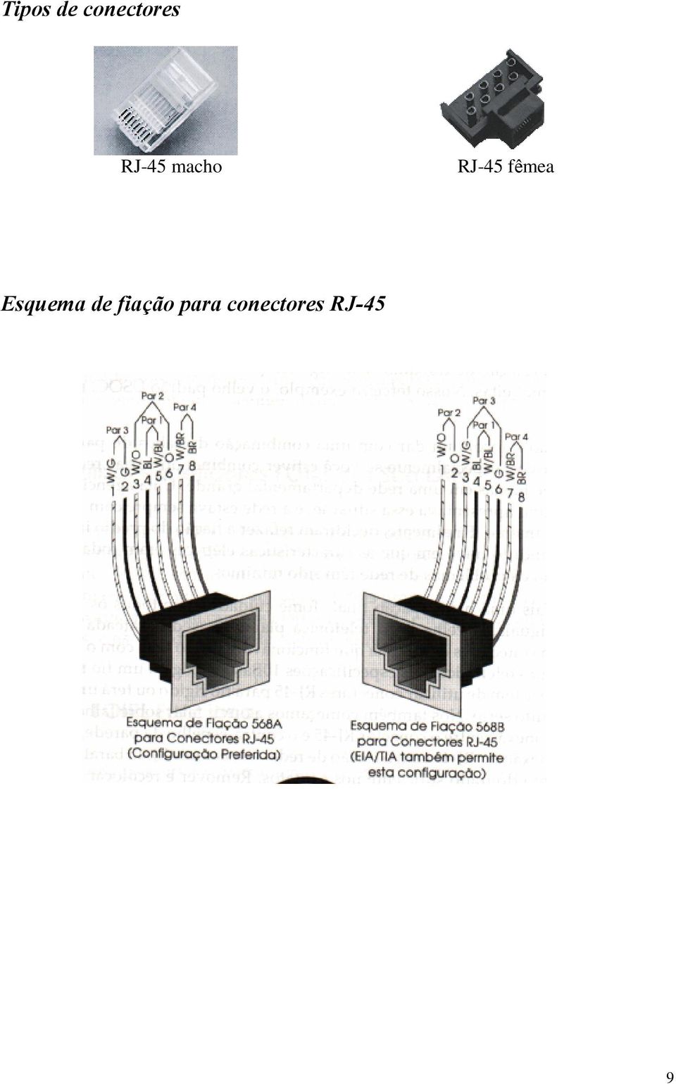 fêmea Esquema de