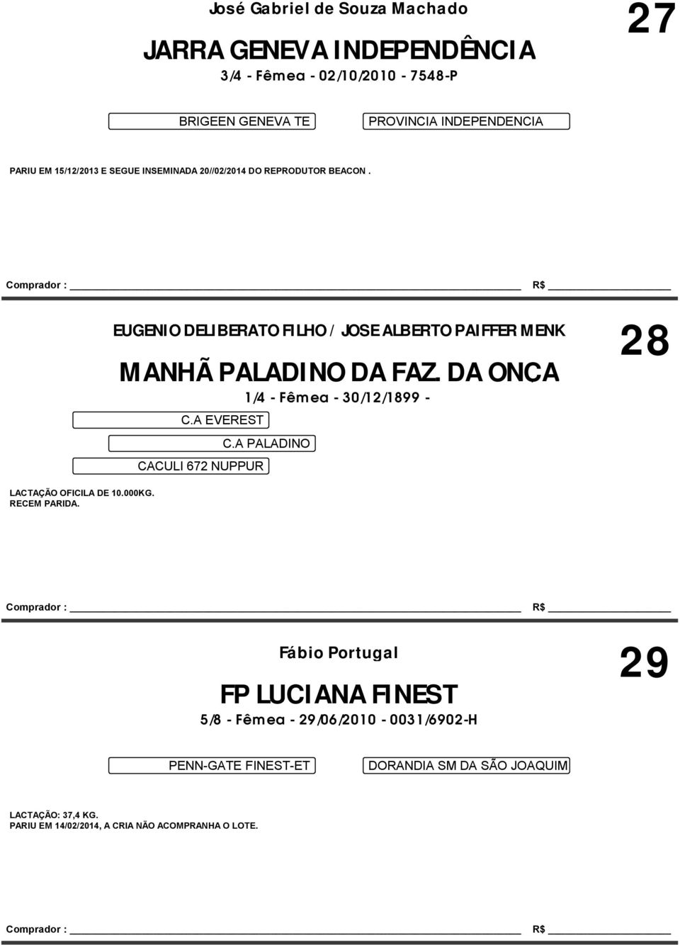 EUGENIO DELIBERATO FILHO / JOSE ALBERTO PAIFFER MENK 28 MANHÃ PALADINO DA FAZ. DA ONÇA 1/4 - Fêmea - 30/12/1899 - C.A EVEREST CACULI 672 NUPPUR C.