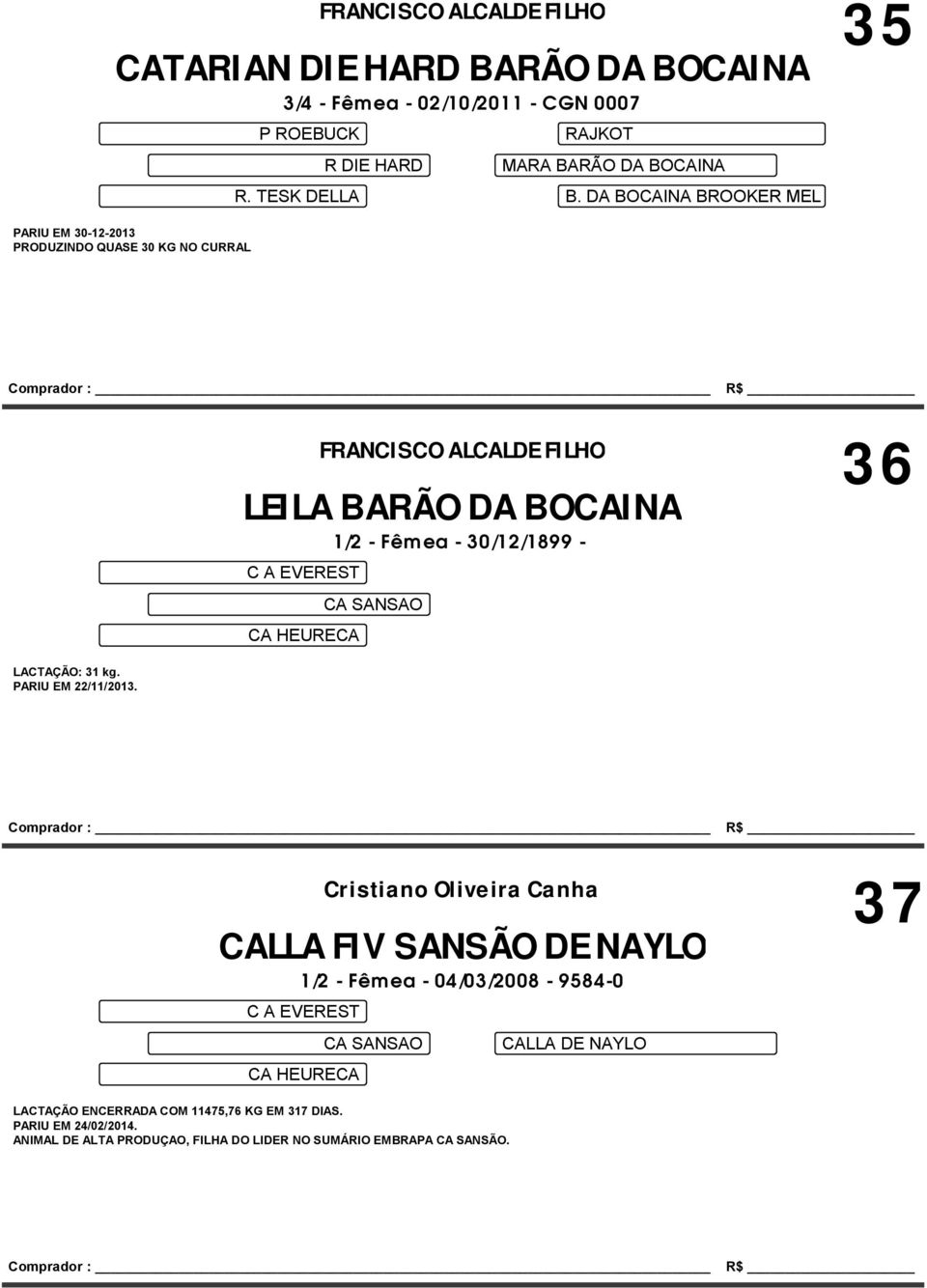 DA BOCAINA BROOKER MEL LEILA BARÃO DA BOCAINA 1/2 - Fêmea - 30/12/1899 - C A EVEREST CA HEURECA FRANCISCO ALCALDE FILHO 36 CA SANSAO LACTAÇÃO: 31 kg.