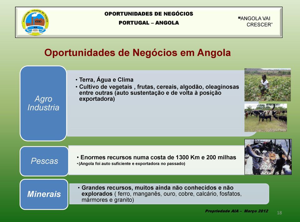 recursos numa costa de 1300 Km e 200 milhas (Angola foi auto suficiente e exportadora no passado) Minerais Grandes