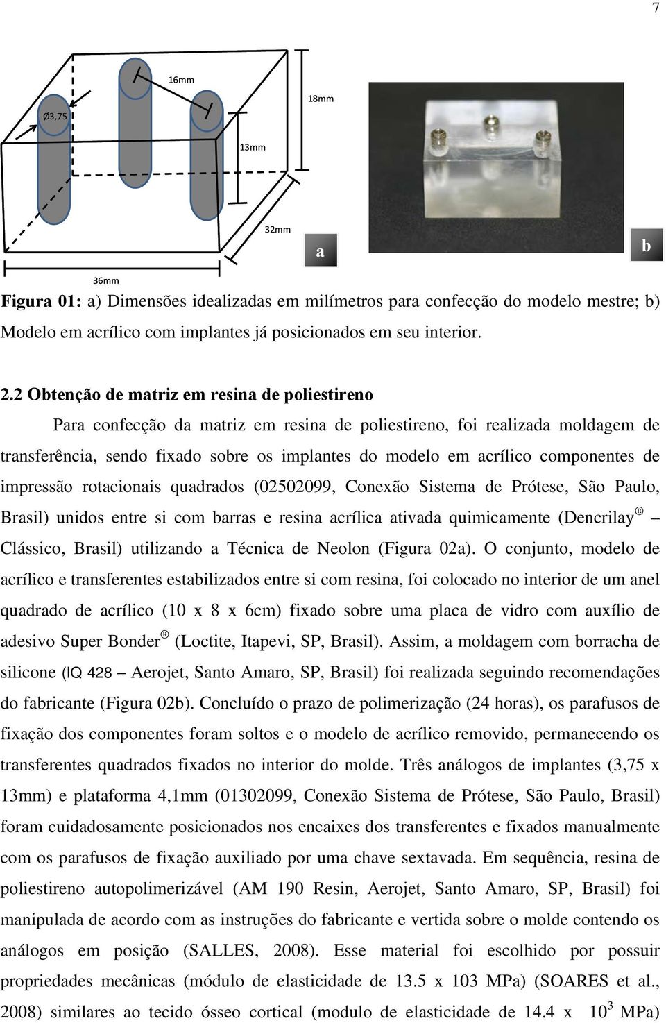 componentes de impressão rotacionais quadrados (02502099, Conexão Sistema de Prótese, São Paulo, Brasil) unidos entre si com barras e resina acrílica ativada quimicamente (Dencrilay Clássico, Brasil)