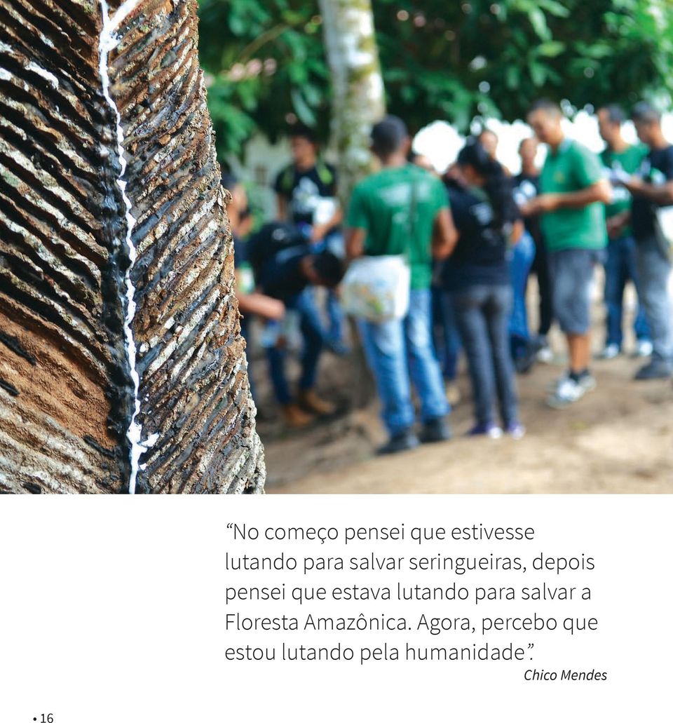 lutando para salvar a Floresta Amazônica.