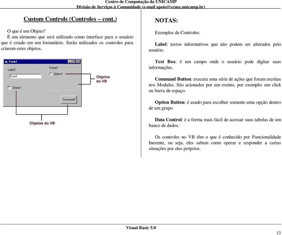 Text Box: é um campo onde o usuário pode digitar suas informações. Command Button: executa uma série de ações que foram escritas nos Modules.