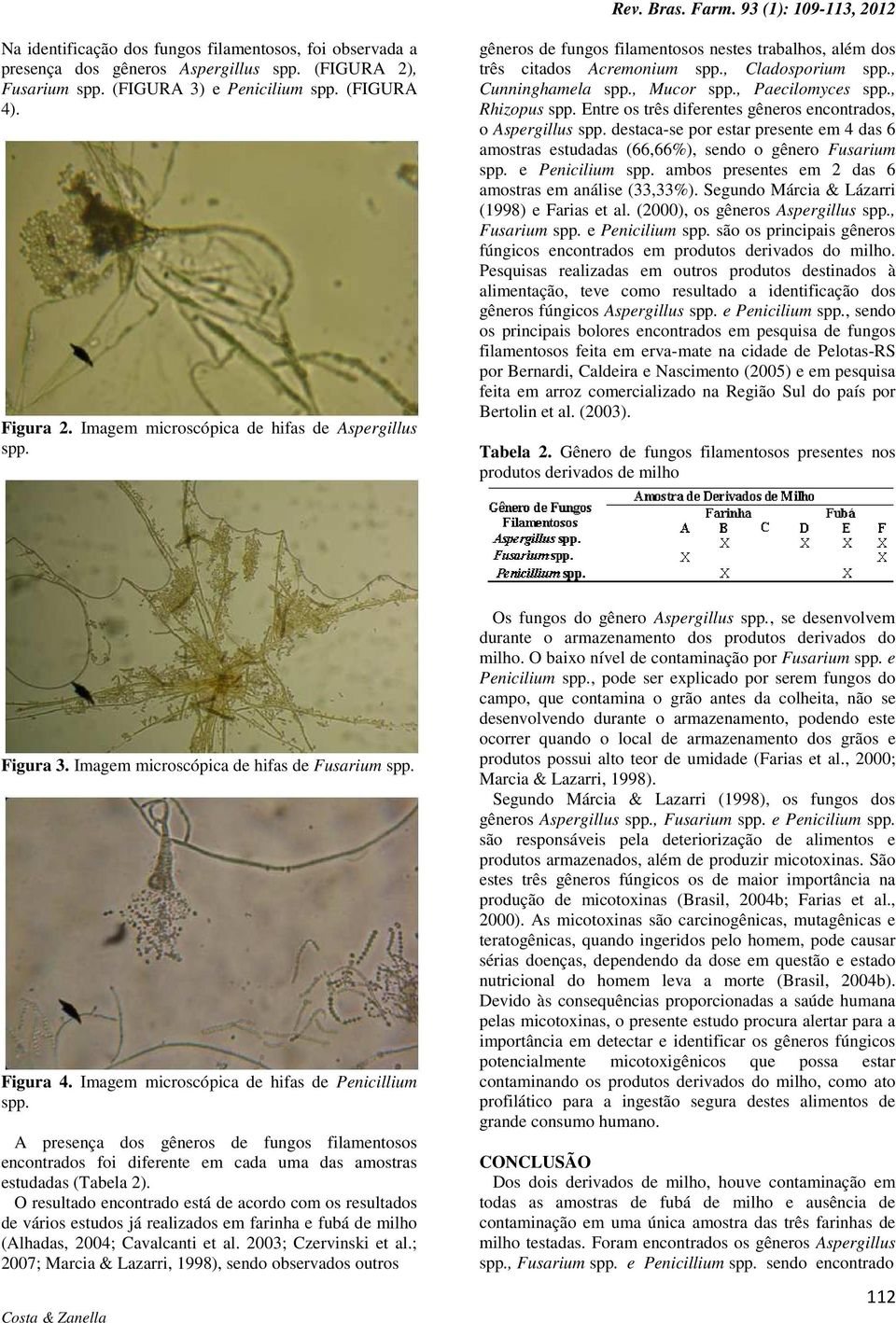 , Paecilomyces spp., Rhizopus spp. Entre os três diferentes gêneros encontrados, o Aspergillus spp.