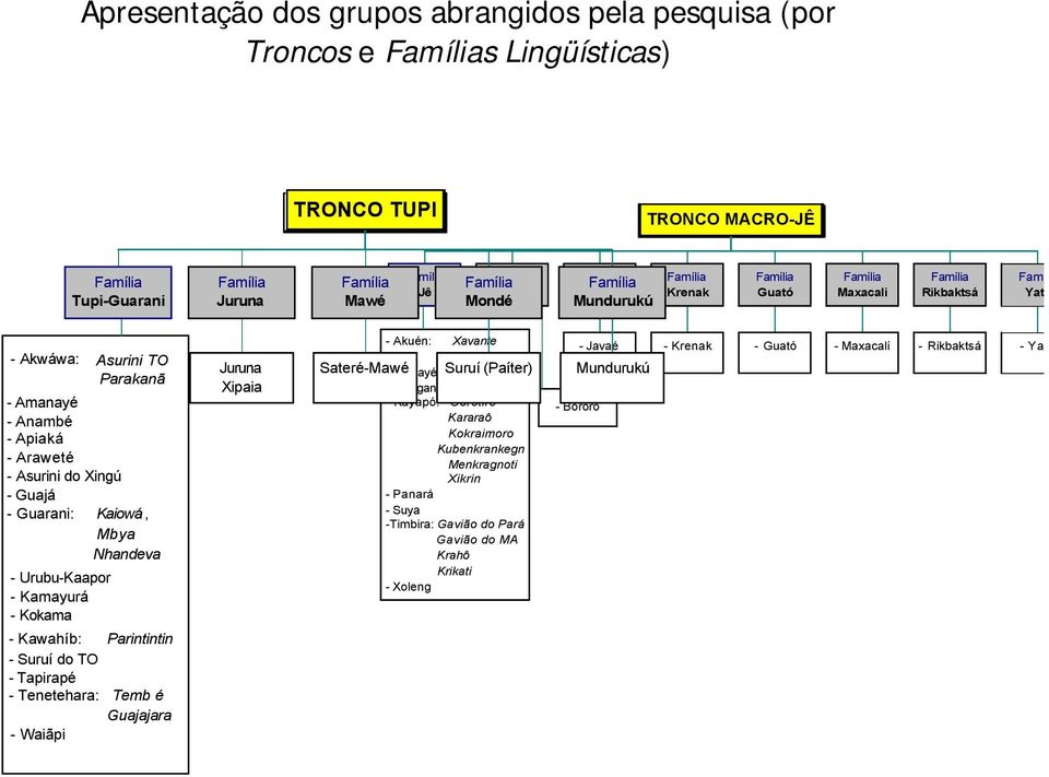 Xingú - Guajá - Guarani: Kaiowá, Mbya Nhandeva - Urubu-Kaapor - Kamayurá - Kokama - Kawahíb: Parintintin - Suruí do TO - Tapirapé - Tenetehara: Temb é Guajajara - Waiãpi Juruna Xipaia - Akuén: