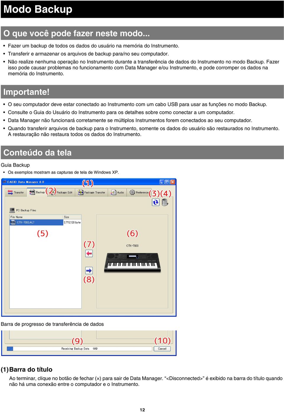 Fazer isso pode causar problemas no funcionamento com Data Manager e/ou Instrumento, e pode corromper os dados na memória do Instrumento. Importante!