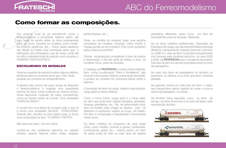 .. Todos esses aspectos vão dando ao hobby uma conotação séria, que o distinguem dos brinquedos, que às vezes, pode até ter sido a intenção inicial de quando você comprou o PRIMEIRO TREM ELÉTRICO.