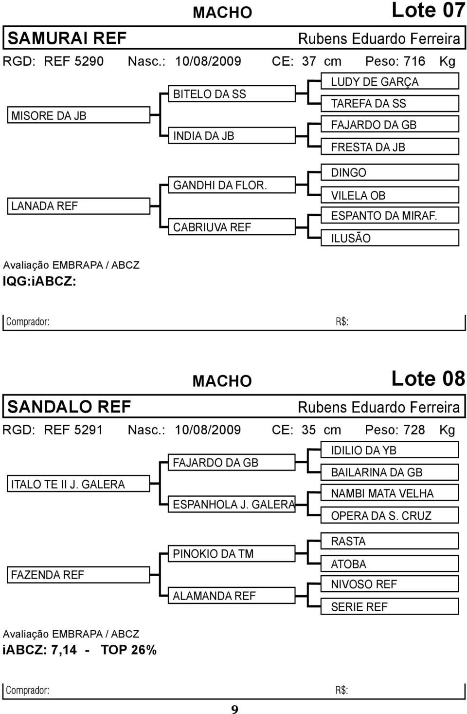 gandhi da flor. cabriuva ref dingo vilela ob espanto da miraf. ilusão MACHO Lote 08 sandalo ref RGD: ref 5291 Nasc.