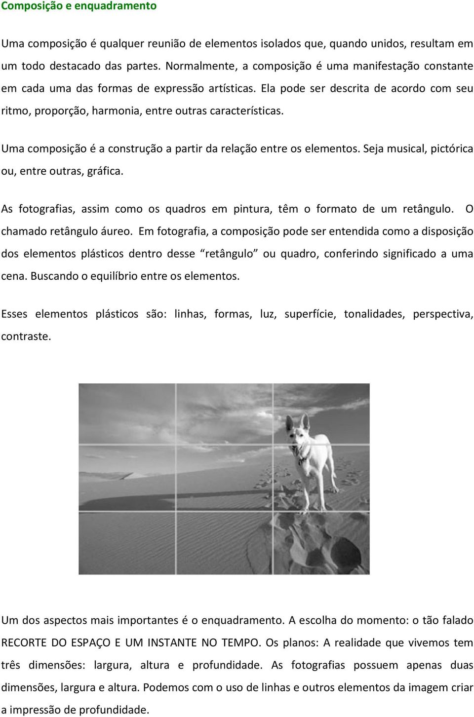 Ela pode ser descrita de acordo com seu ritmo, proporção, rção, harmonia, entre outras características. Uma composição é a construção a partir da relação entre os elementos.