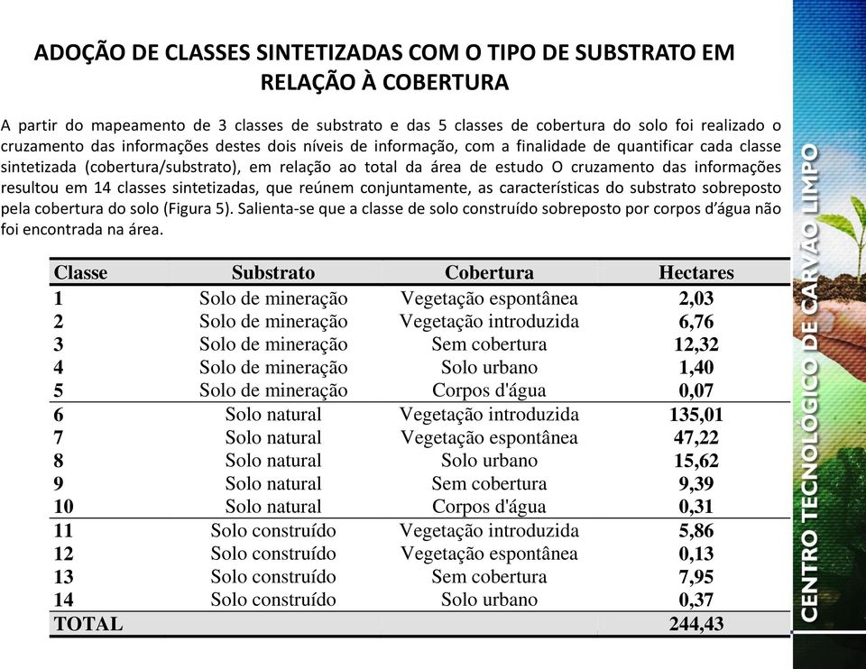 resultou em 14 classes sintetizadas, que reúnem conjuntamente, as características do substrato sobreposto pela cobertura do solo (Figura 5).