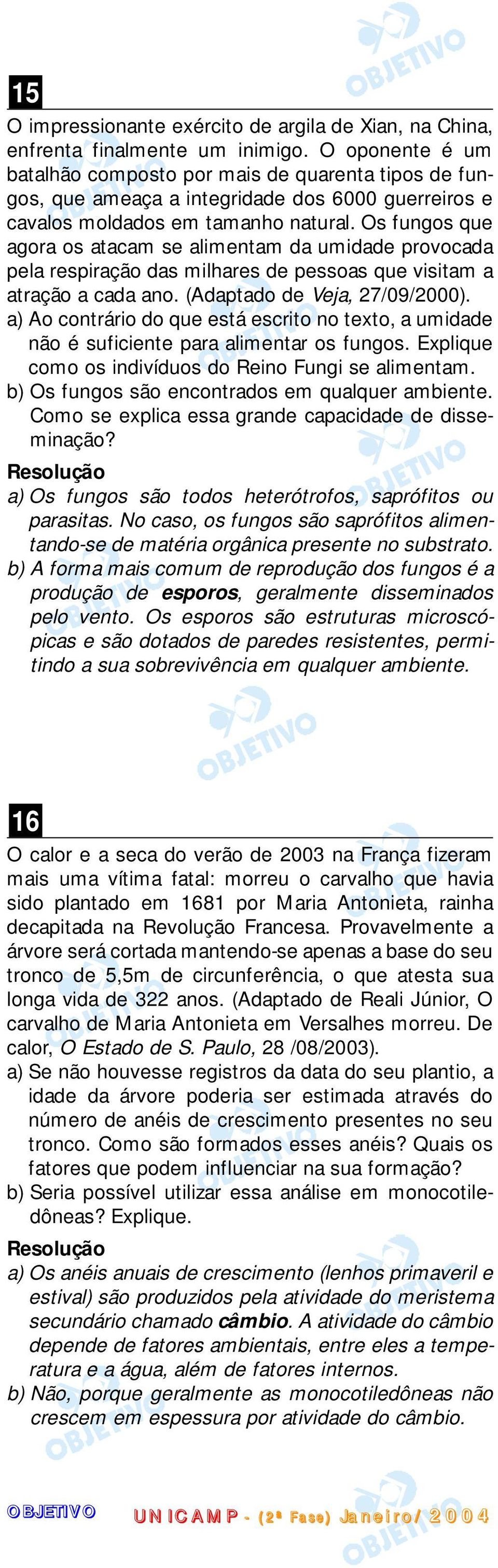 Os fungos que agora os atacam se alimentam da umidade provocada pela respiração das milhares de pessoas que visitam a atração a cada ano. (Adaptado de Veja, 27/09/2000).