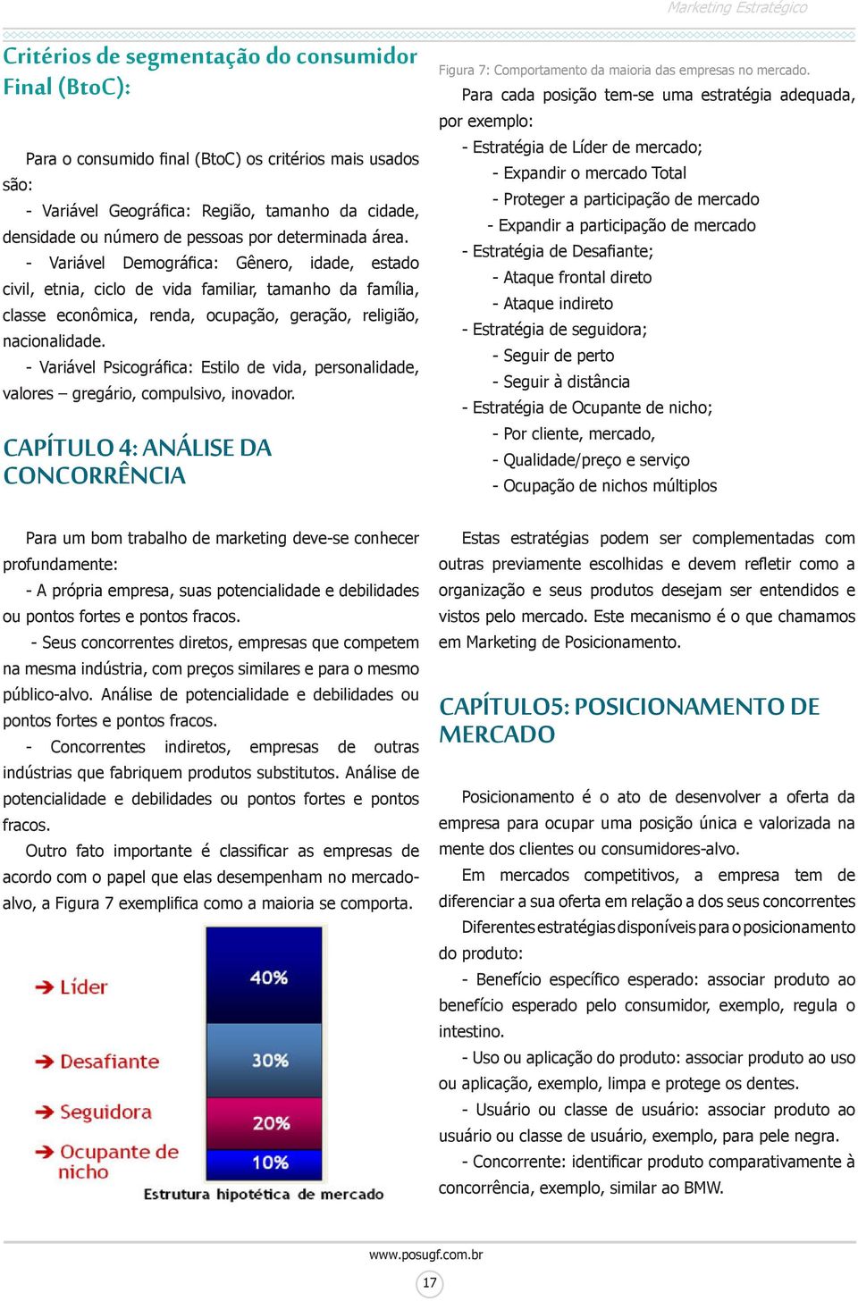 - Variável Psicográfica: Estilo de vida, personalidade, valores gregário, compulsivo, inovador. CAPÍTULO 4: ANÁLISE DA CONCORRÊNCIA Figura 7: Comportamento da maioria das empresas no mercado.